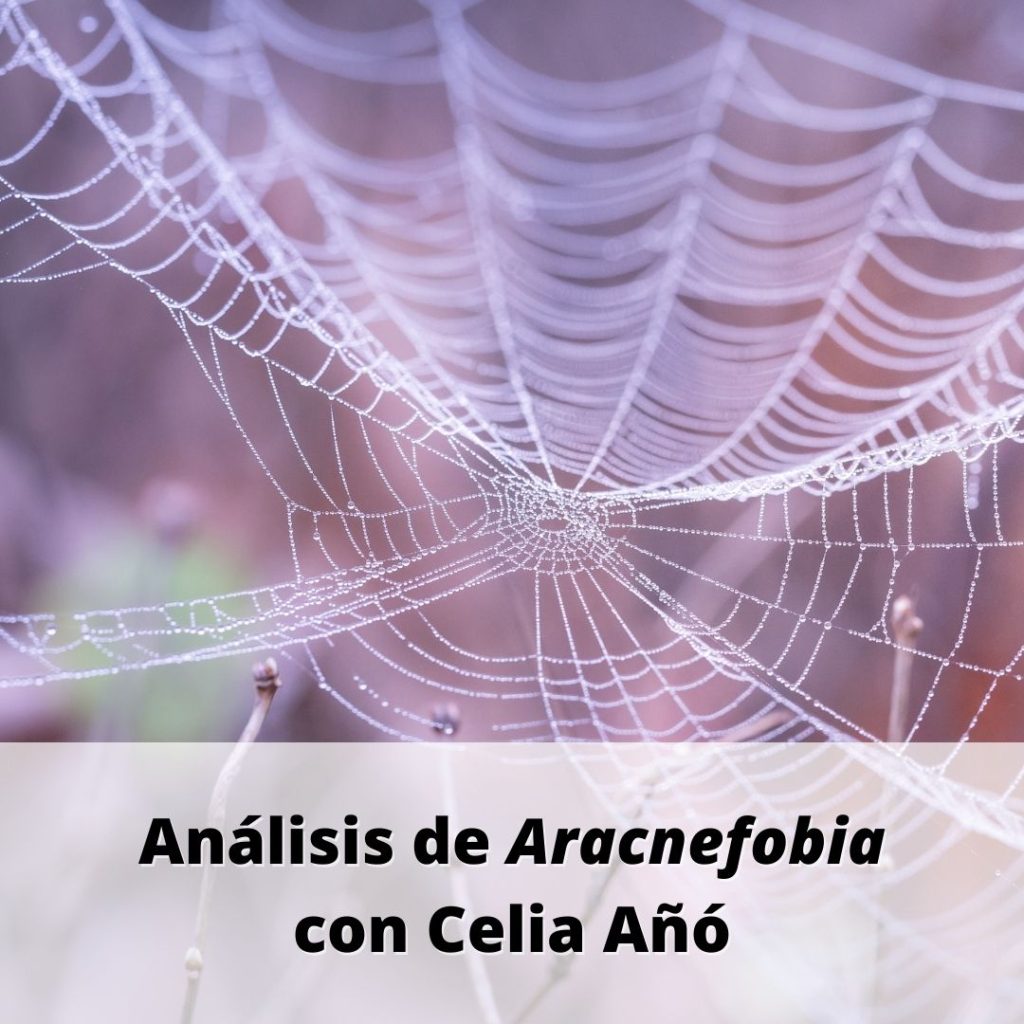 Banner en el que se lee "Análisis de Aracnefobia con Celia Añó"